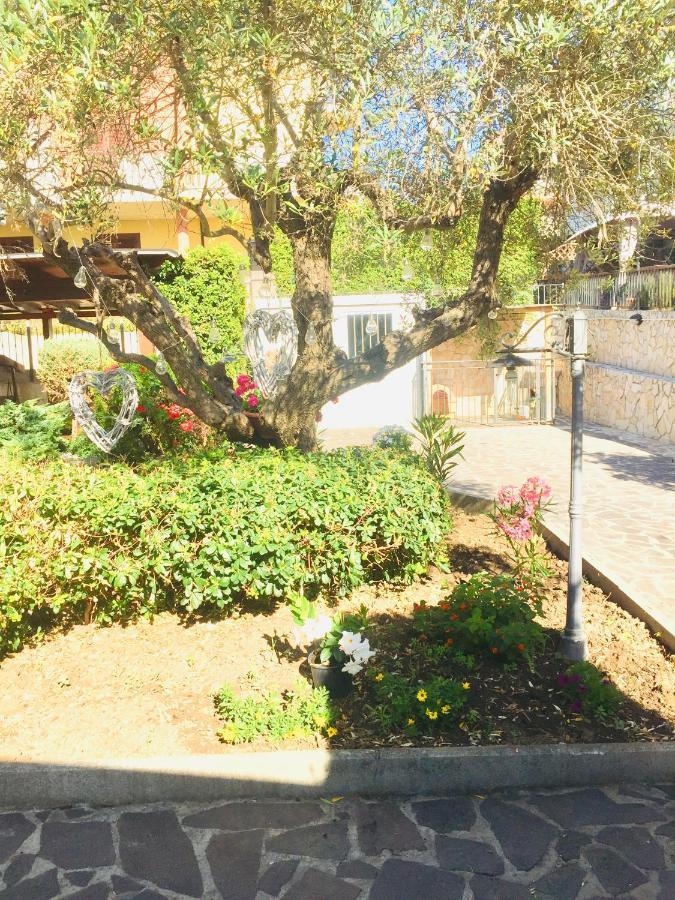B&B Il Piu Bello 新萨尔沃 外观 照片